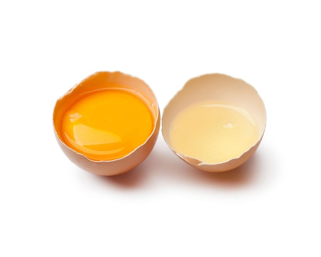 5 ประโยชน์ของไข่ขาวที่ทุกคนไม่ควรพลาด โปรตีนคุณภาพที่ดีและมีประโยชน์