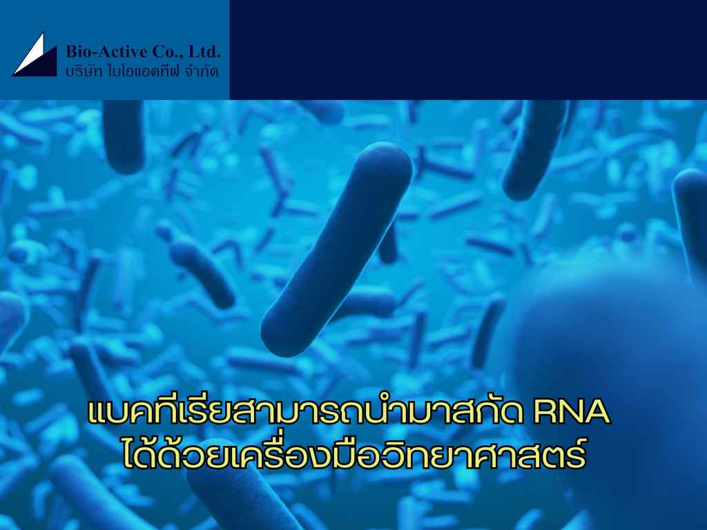 แบคทีเรียสามารถนำมาสกัด RNA ได้ด้วยเครื่องมือวิทยาศาสตร์ (3)